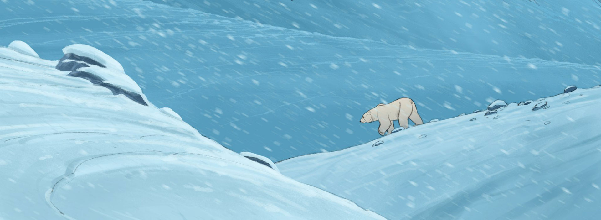 snow-bear-background-color-comp
